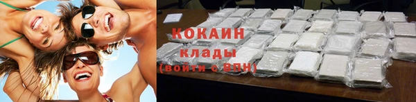 индика Алексеевка