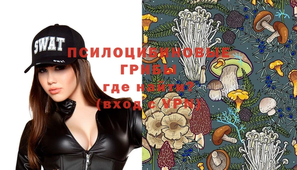 индика Алексеевка