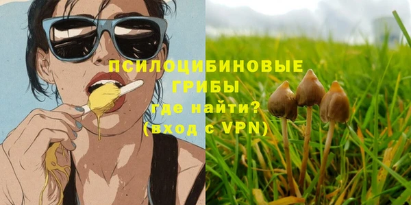 спиды Алексин