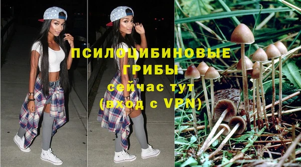 индика Алексеевка