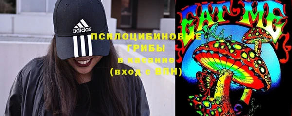 индика Алексеевка