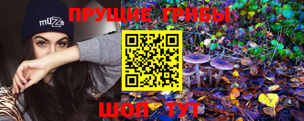 Ковров  Галлюциногенные грибы Psilocybe  закладка  Вход с VPN 